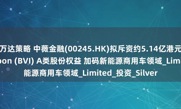 万达策略 中薇金融(00245.HK)拟斥资约5.14亿港元收购Wisdom Moon (BVI) A类股份权益 加码新能源商用车领域_Limited_投资_Silver