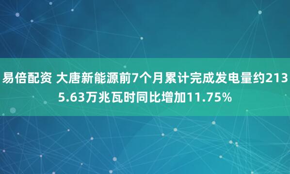 易倍配资 大唐新能源前7个月累计完成发电量约2135.63万兆瓦时同比增加11.75%